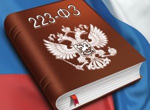 ФЗ 223 госзакупки. Изменения и особенности